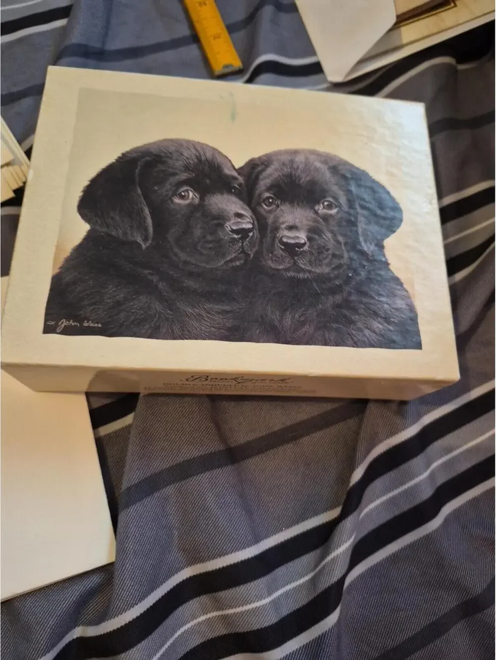 Bookmark Deluxe Notecards Double Trouble